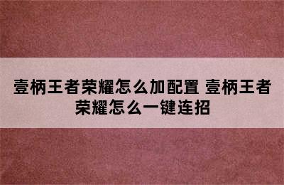 壹柄王者荣耀怎么加配置 壹柄王者荣耀怎么一键连招